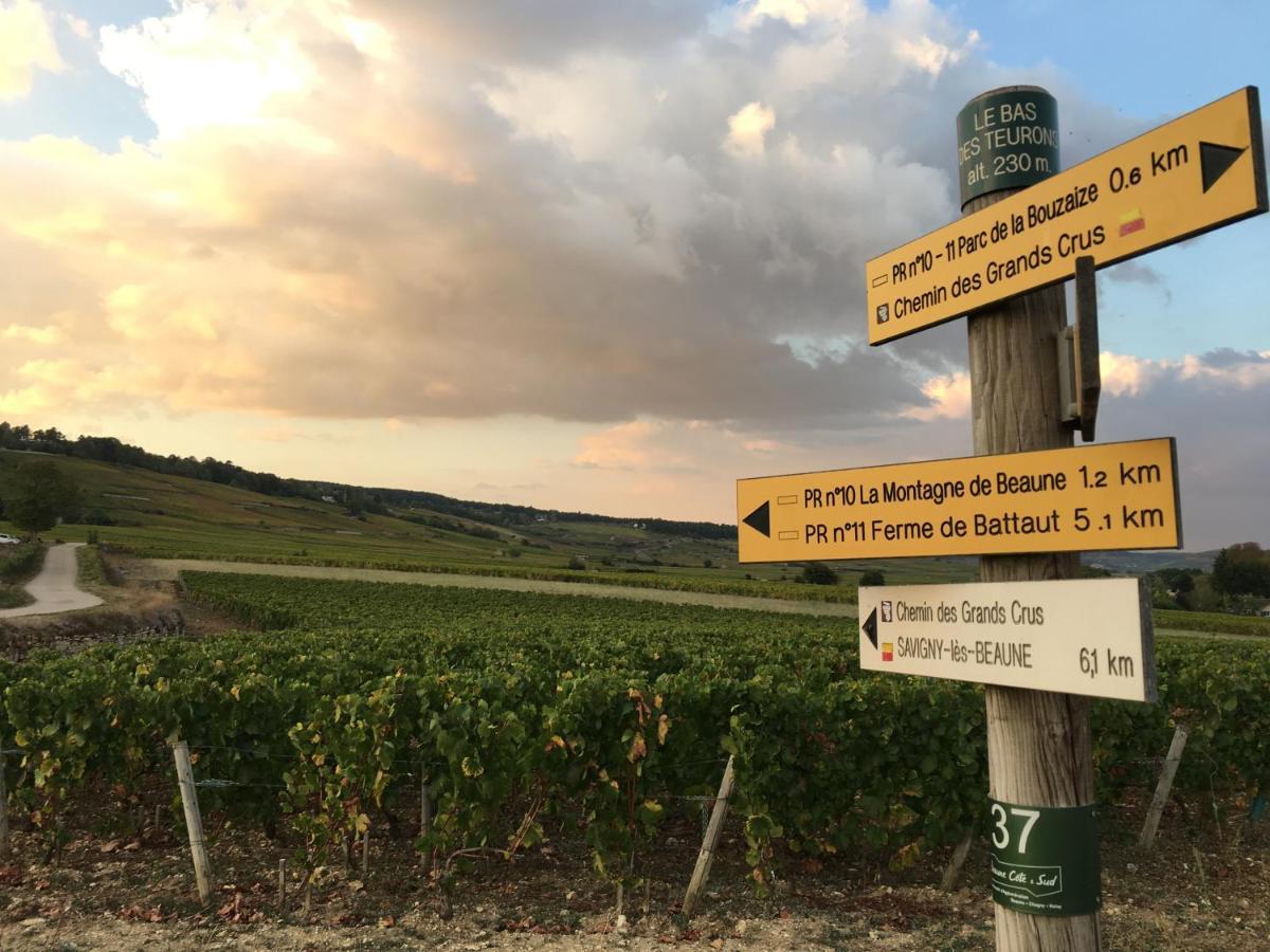 Le Gite De Tassigny Meursault Kültér fotó